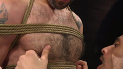 Serious maledom jerk off sensations for a hairy male slave