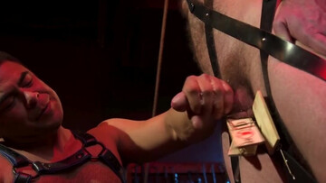 Tied up behind bars and getting his erect cock jerked off