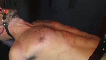 Tattooed man and a bearded lad make for a great combo