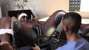 Injured black stud is getting examined by the doctor