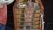 Flogging experience for a sub in that cage