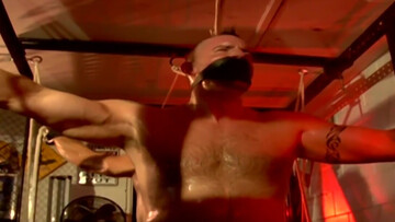 They are tied up and their backs are facing each other