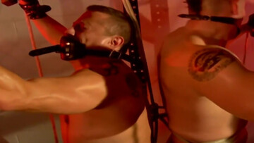 They are tied up and their backs are facing each other