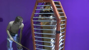 Caged BDSM kinks with Kayden Winters and Thomas White
