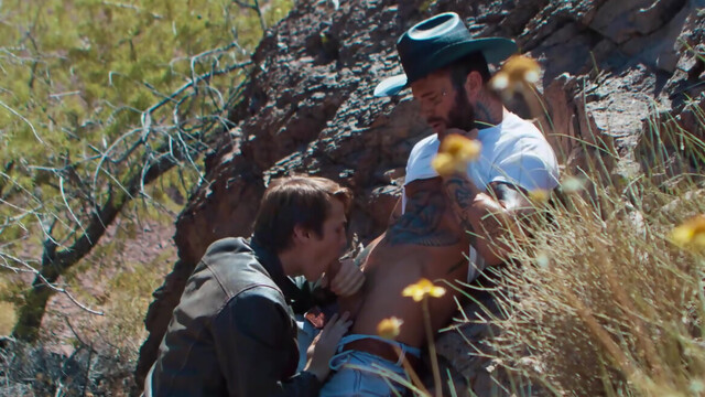 Kinky studs compelling in their uniqueness