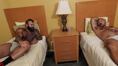 Hot bears hook up in a hotel room and share the best moments